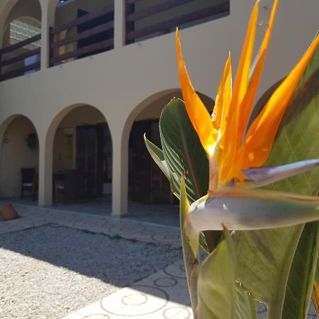Santo Quintal Hostel Ubatuba Exteriér fotografie